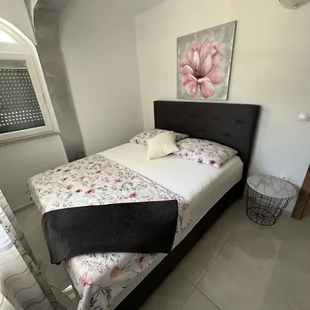 House Biograd