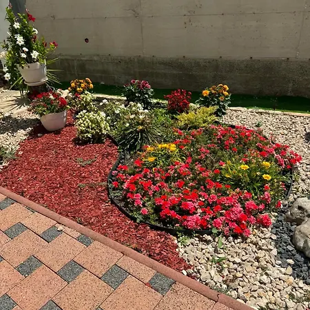 House Biograd Villa